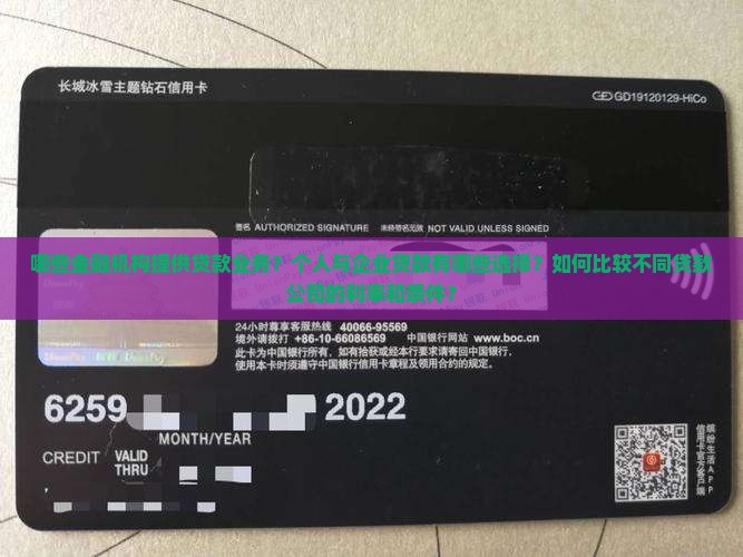 哪个公司有贷款业务