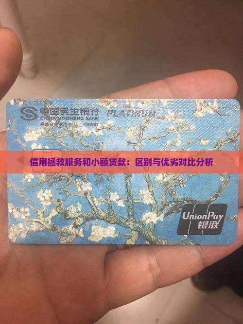信用拯救服务和小额贷款