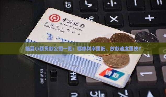 临夏有哪些小额贷款