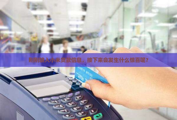 小米贷款信息已输入