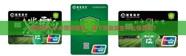 小米贷款信息已输入