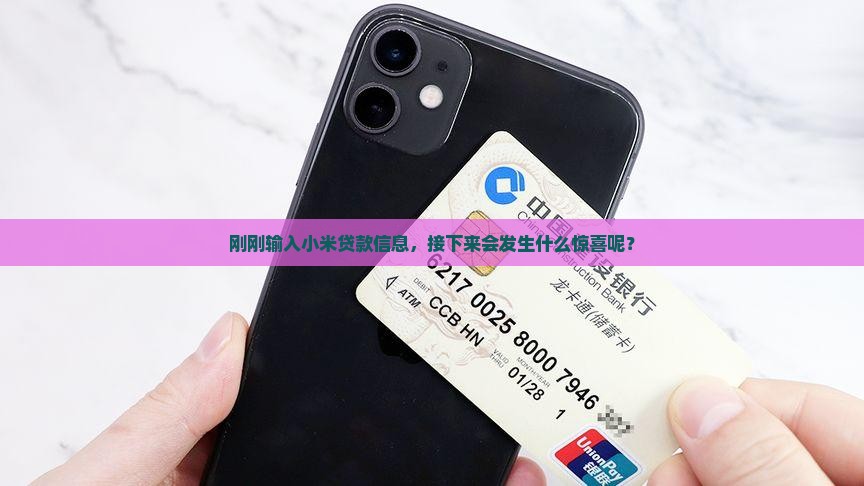 小米贷款信息已输入