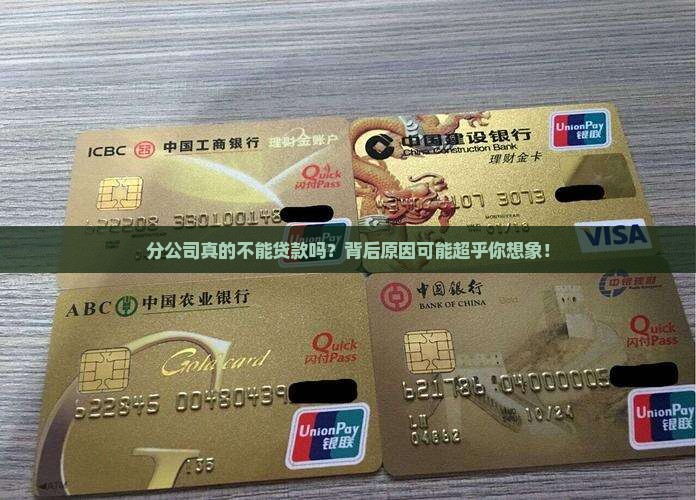 分公司还能贷款吗