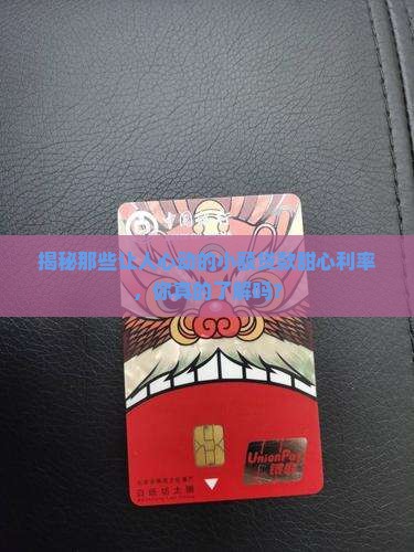 小额贷款利息的平台