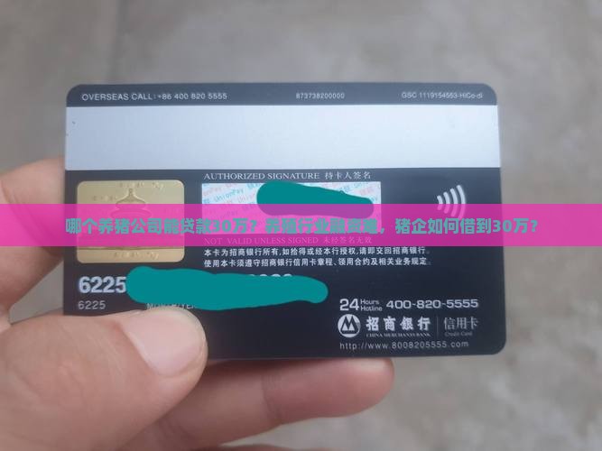 哪个养猪公司能贷款30万