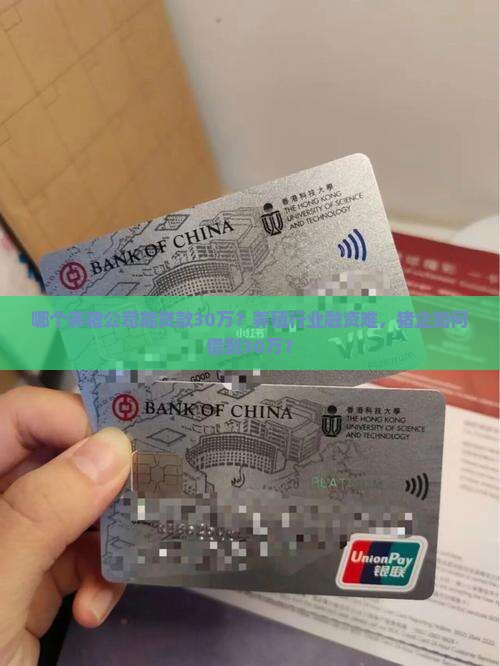 哪个养猪公司能贷款30万