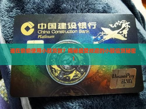 小额贷款那个用的最多