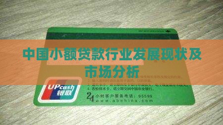 小额贷款从业现状怎么写