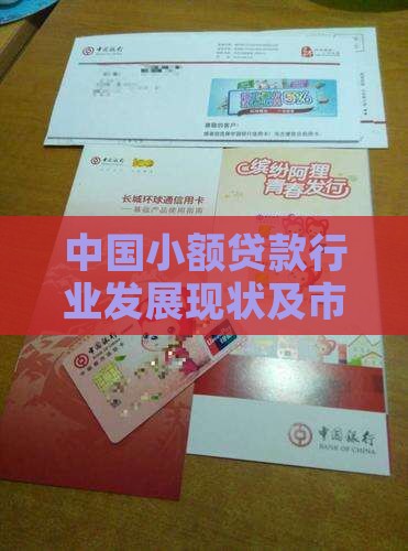 小额贷款从业现状怎么写