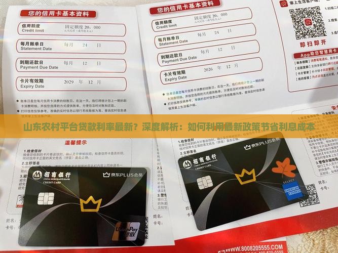 山东农村平台贷款利率最新