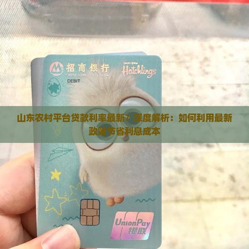 山东农村平台贷款利率最新