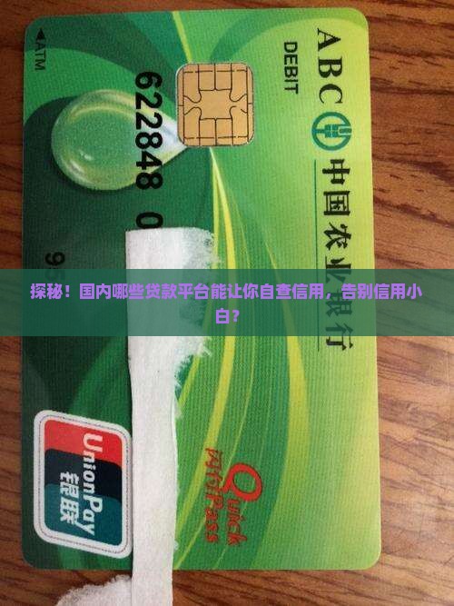 国内可以查征信的贷款