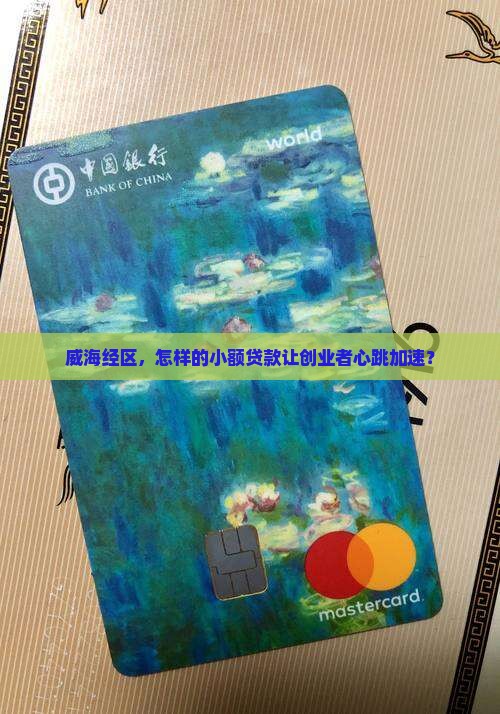 威海经区兴企小额贷款