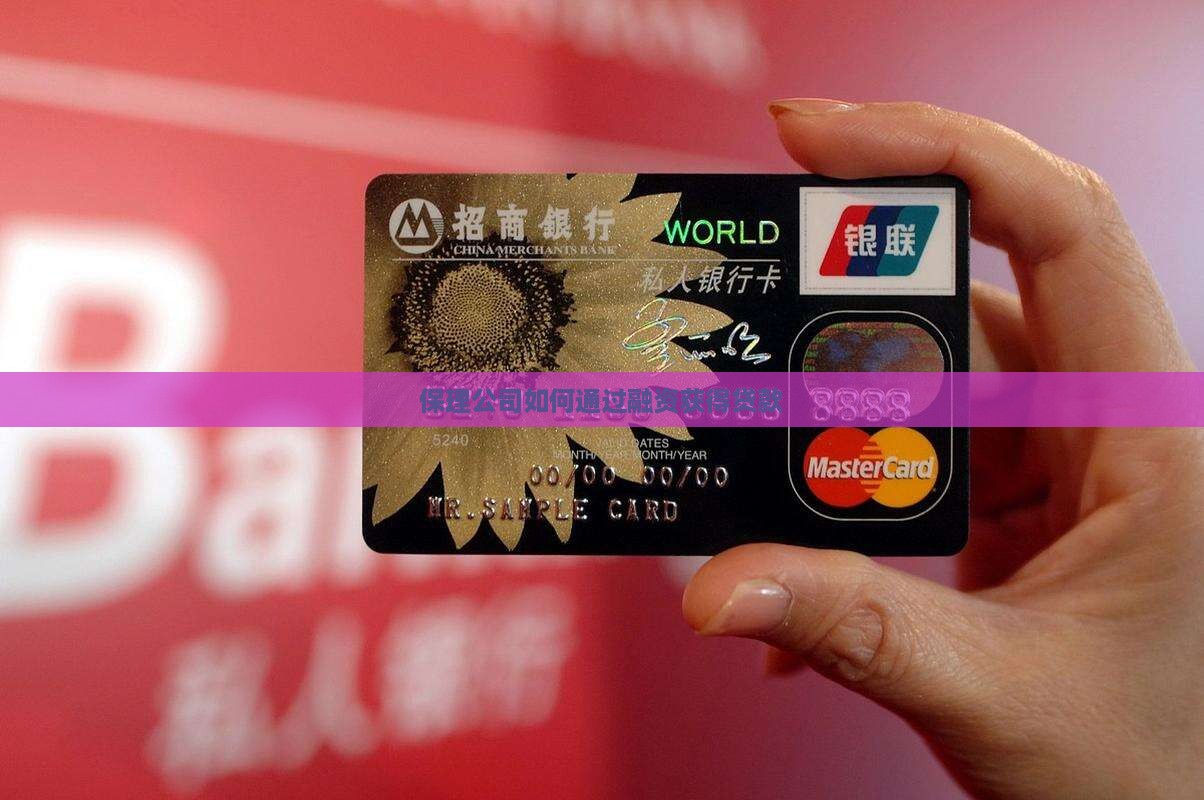 保理公司能否获得贷款