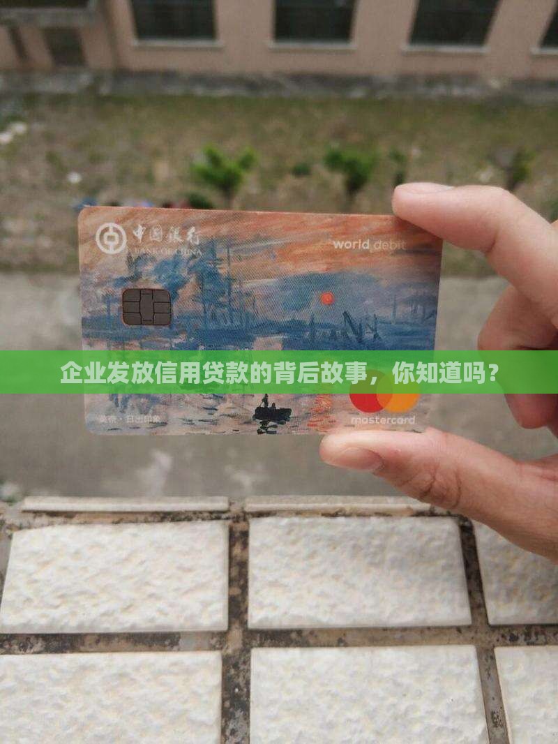 企业发放信用贷款流程