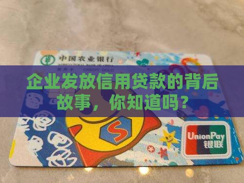 企业发放信用贷款流程