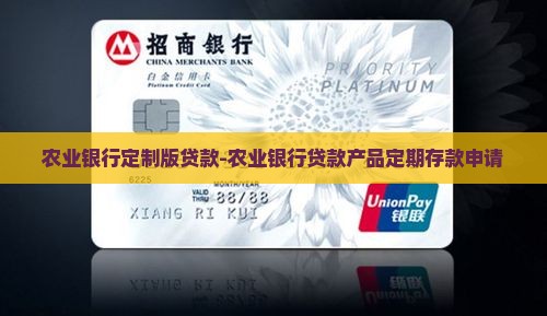 农业银行定制版贷款