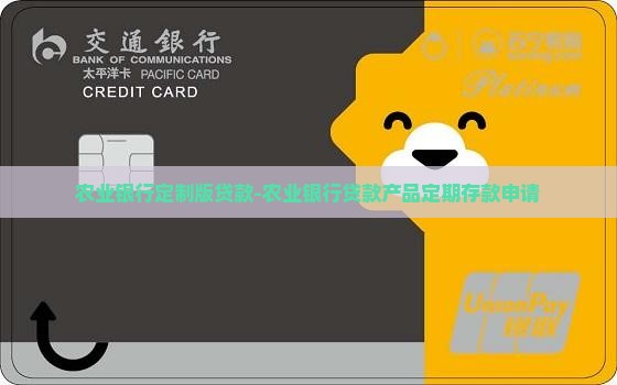 农业银行定制版贷款
