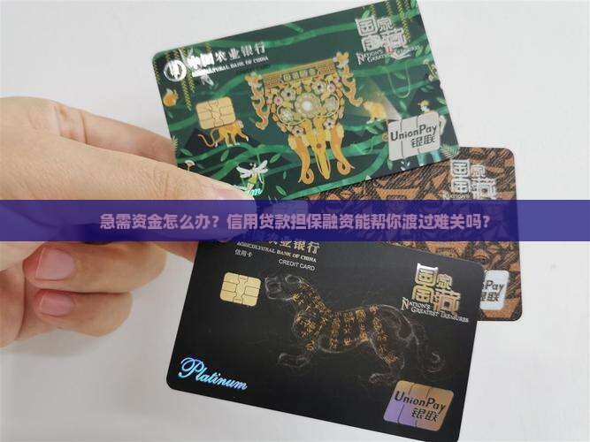信用贷款担保融资