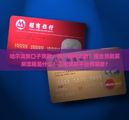 哈尔滨新口子贷款