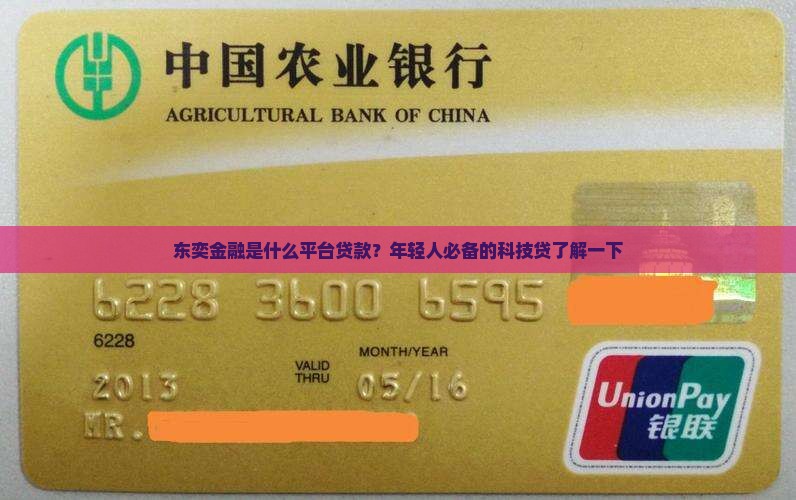 东奕金融是什么平台贷款