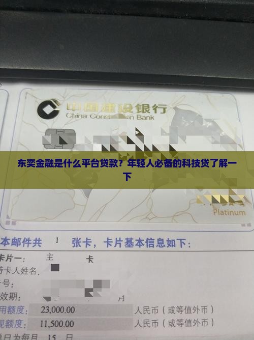 东奕金融是什么平台贷款