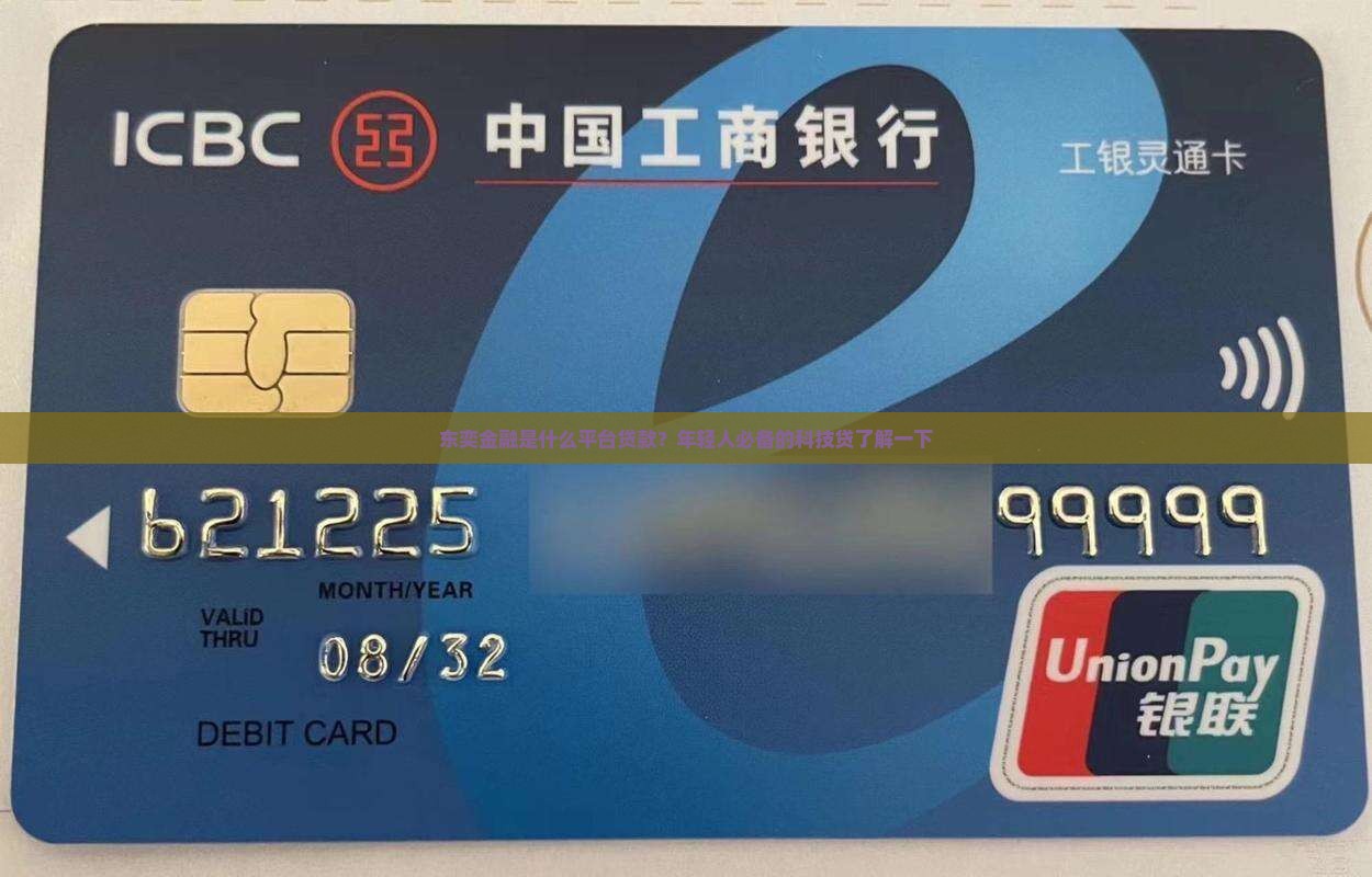 东奕金融是什么平台贷款