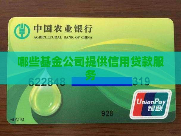 哪些基金公司做信用贷款 哪些基金公司做信用贷款