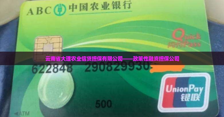 大理农行贷款担保公司