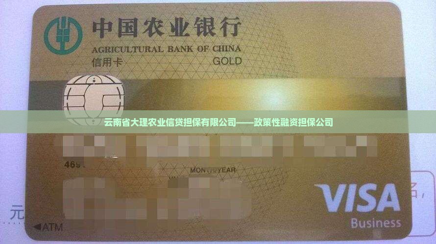 大理农行贷款担保公司