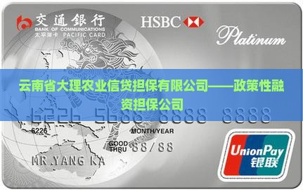 大理农行贷款担保公司