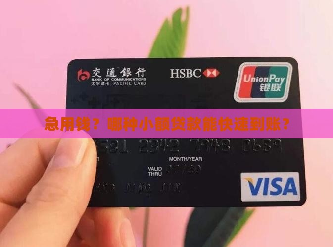 什么小额贷款下得快