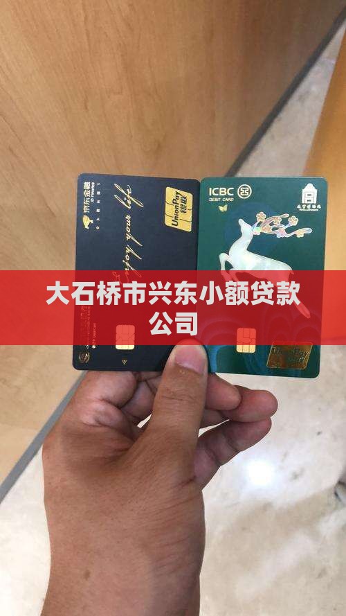 大石桥市兴东小额贷款