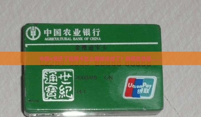 中银e贷贷款还信用卡被冻结