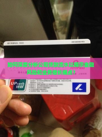 分析公司类贷款流水