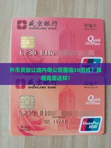 ft外币贷款境内母公司30