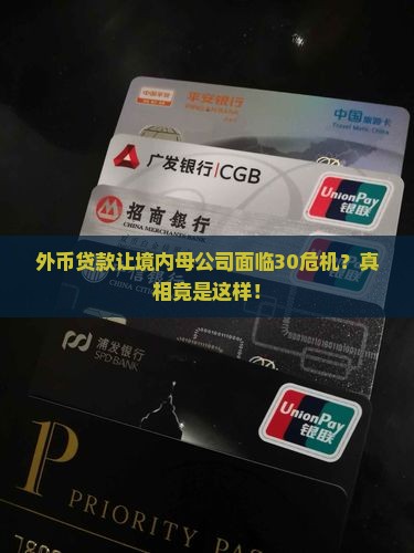 ft外币贷款境内母公司30