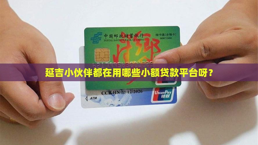 延吉小额贷款有哪些平台