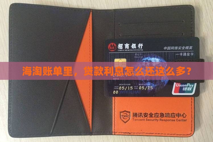 境外消费贷款利息