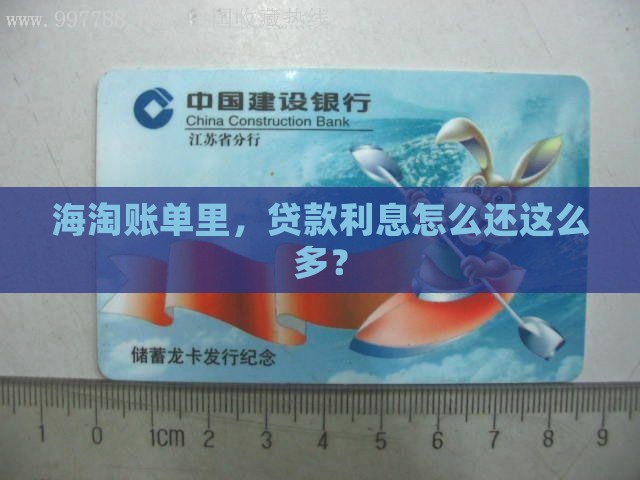 境外消费贷款利息