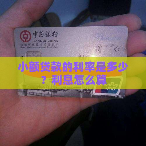 合泰小额贷款利息多少啊