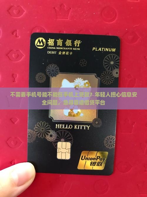 不需要手机号能不能在手机上贷款