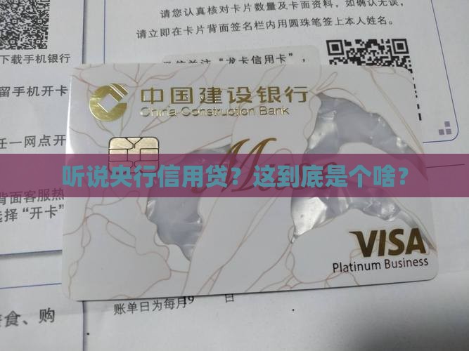 人民银行信用贷款定义