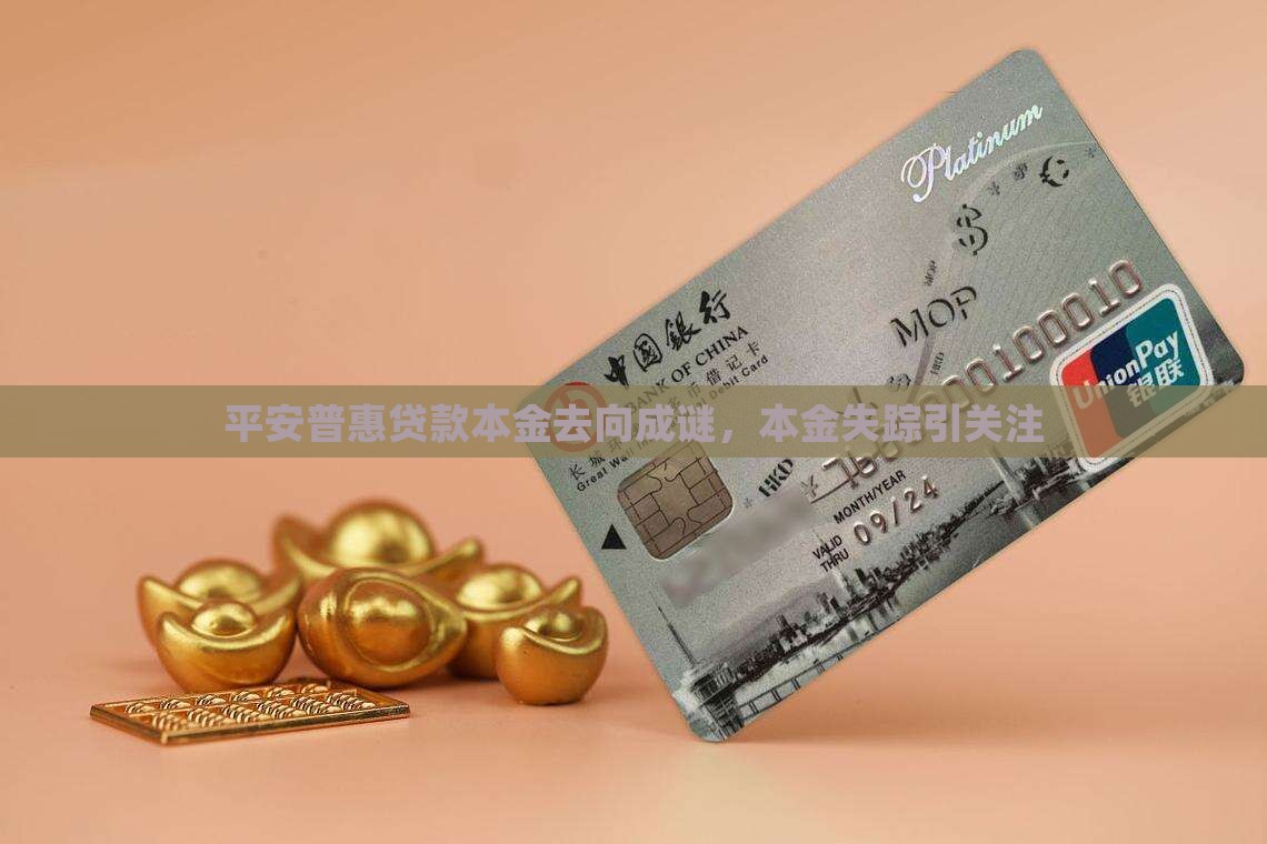 平安普惠贷款没看到本金