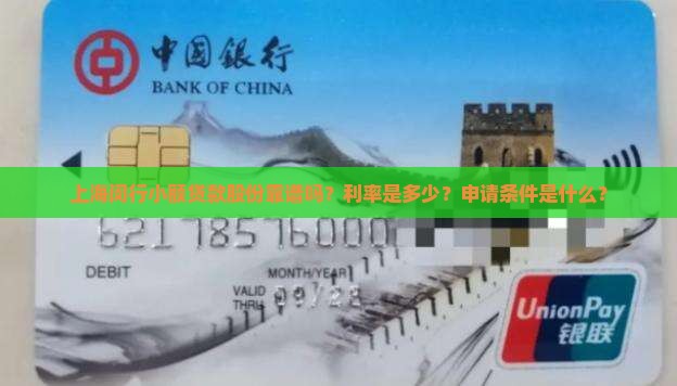 上海闵行小额贷款股份