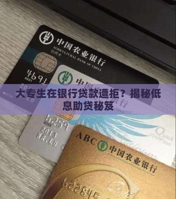 大专在银行贷款