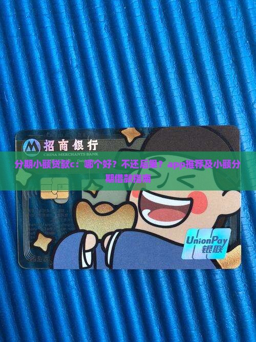 分期小额贷款c