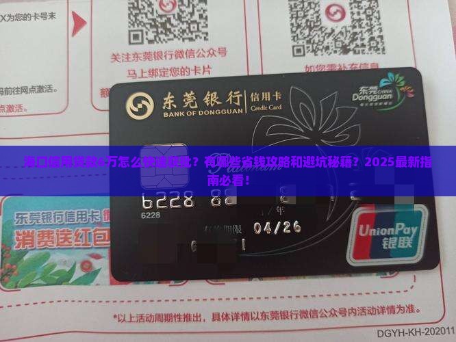 海口信用贷款6万