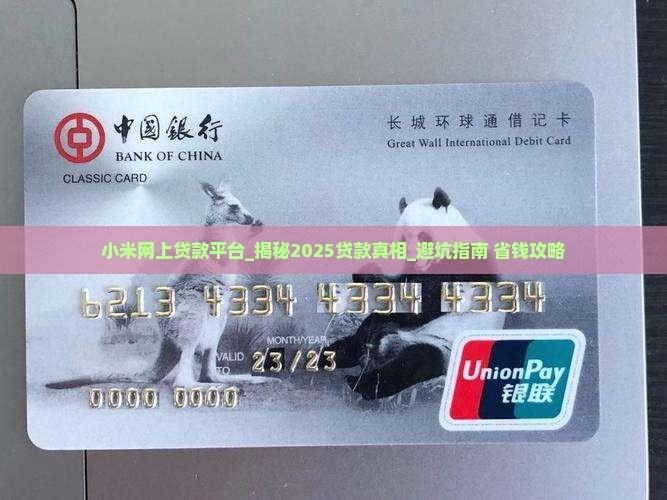 小米网上贷款平台