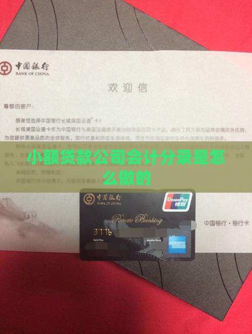 小额贷款是怎么样记账
